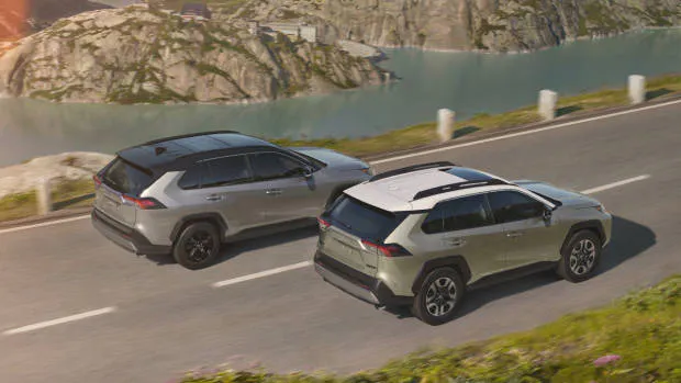2019 Toyota RAV4 silver rear x2