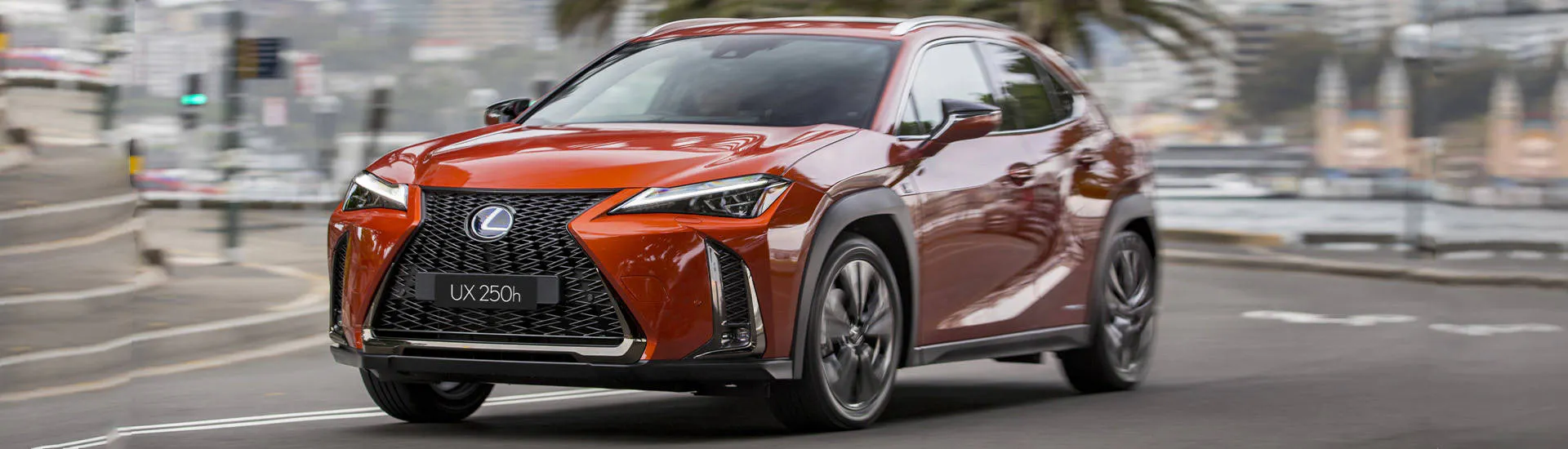 Lexus UX 2021: cheaper base model drives price of entry down for small luxury SUV