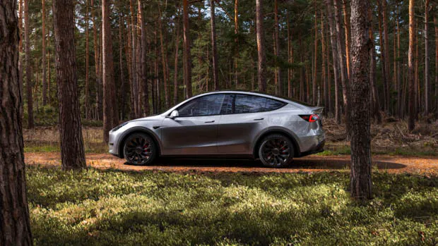 2023 Tesla Model Y side profile in forest